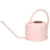 Gieter - Metaal - Retro - Roze - 1100 Ml -VIDAXL || Prosperplast || Decoris Winkel 1000012744