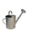 Gieter - Zink - Met Broeskop - 5 L -VIDAXL || Prosperplast || Decoris Winkel 1000012750