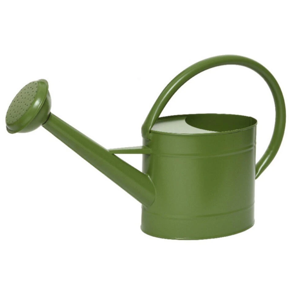 Decoris Gieter - Groen - Zink - 5 L 3 Decoris Gieter - Groen - Zink - 5 L
