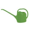 EDA Gieter - Groen - Kunststof - 2 Liter - L48 X B12 X H23 Cm -VIDAXL || Prosperplast || Decoris Winkel 1000079478