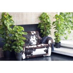 Scindapsus 'Aureum' In Hangpot - Epipremnum - Pot 17 Cm - ↕25 Cm -VIDAXL || Prosperplast || Decoris Winkel 1560773404 0102