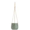 Hangpot Hangend Paul - Donkergroen - 11xØ12 Cm -VIDAXL || Prosperplast || Decoris Winkel 71127133