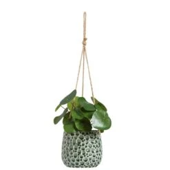 Hangpot Hangend Paul - Donkergroen - 11xØ12 Cm -VIDAXL || Prosperplast || Decoris Winkel 71127134 0140 1