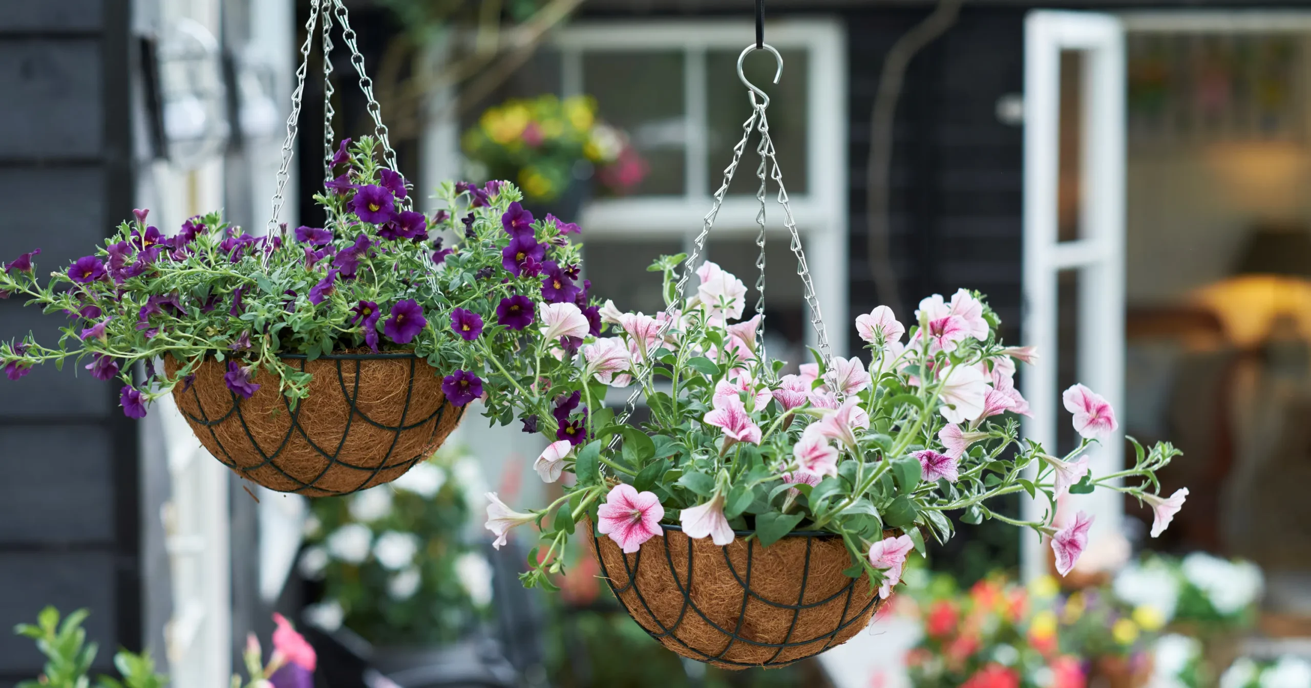 VIDAXL || Prosperplast || Decoris Winkel -VIDAXL || Prosperplast || Decoris Winkel download scaled